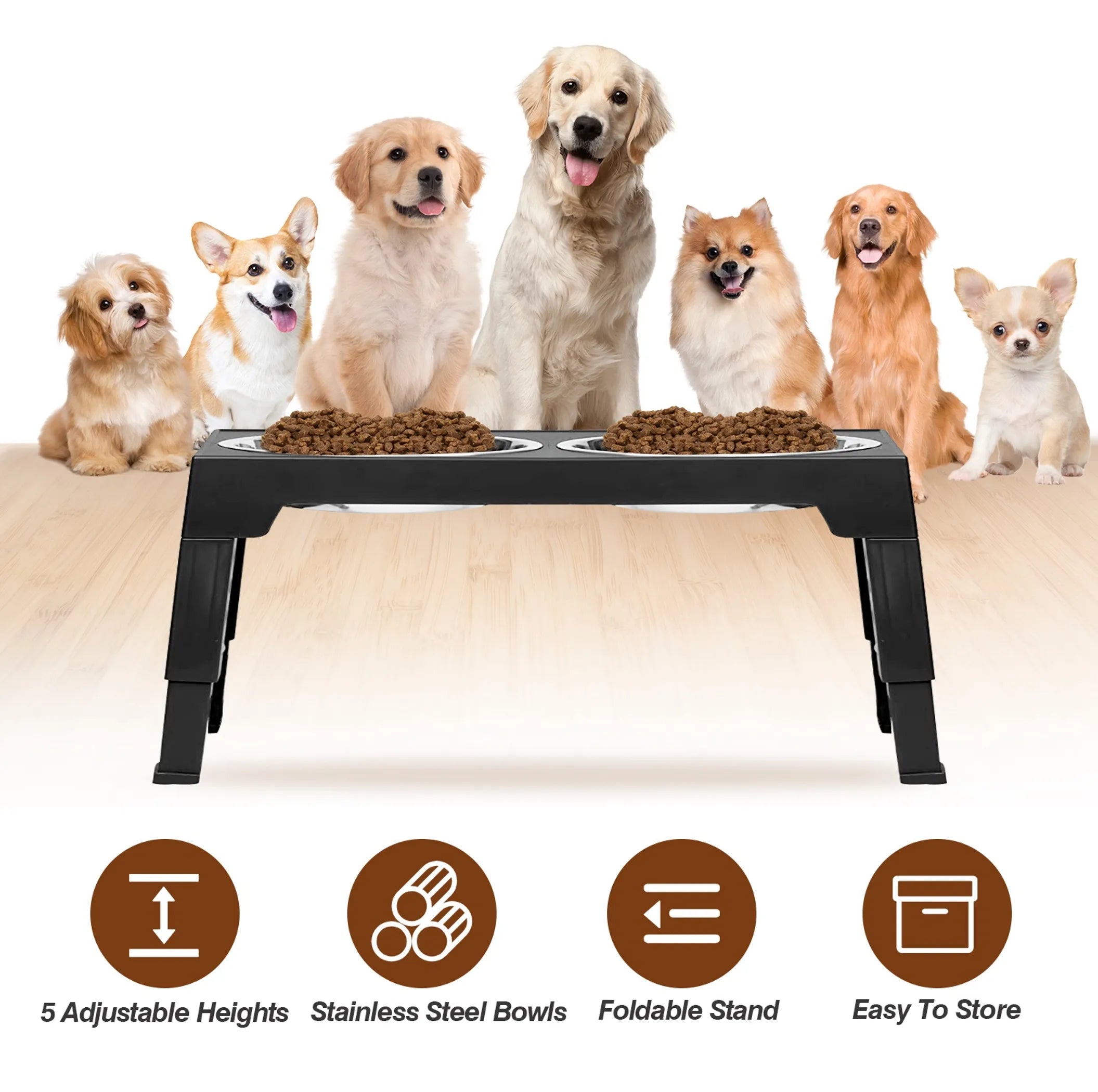 Dog Raised Bowls
